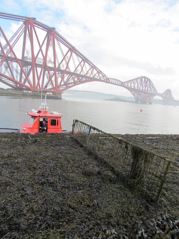 Forth Bridge e alghe + barchetta rossa